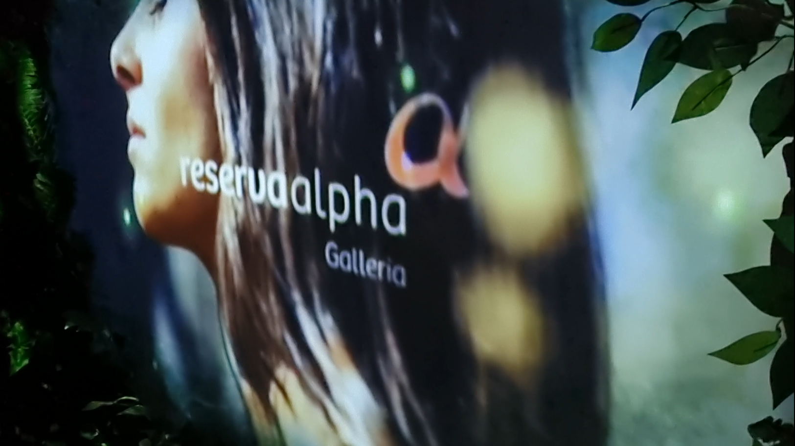O rosto de uma mulher é projetado em uma parede com as palavras reserva alpha galleria.