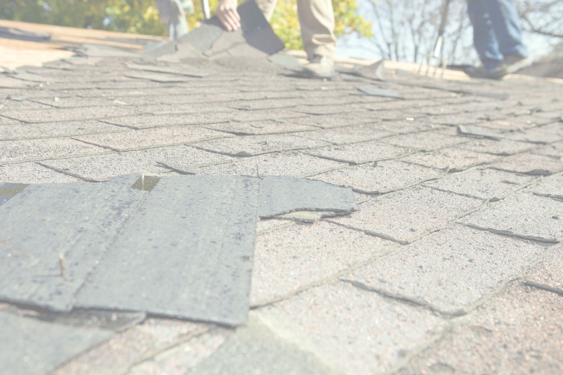 Minnesota homeowner reviewing insurance policy changes for roof and storm damage protection