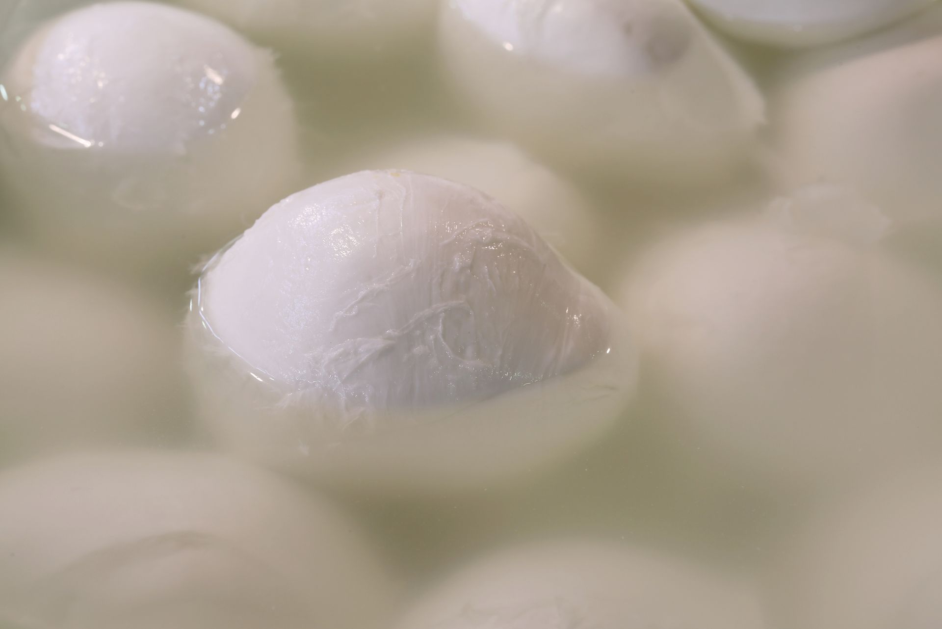 mozzarella di bufala