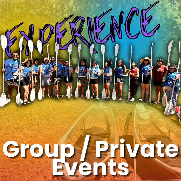 Group of people holding paddles; kayaks, 