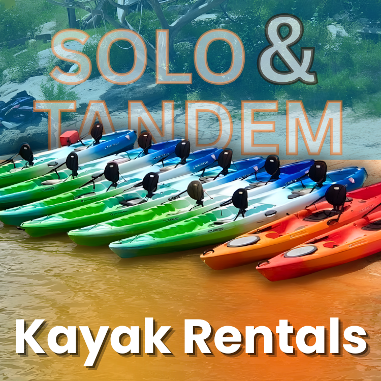 Row of colorful kayaks for solo and tandem rentals on water.