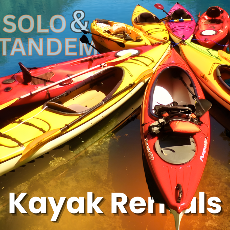Kayaks of various colors on water, advertising solo and tandem kayak rentals.