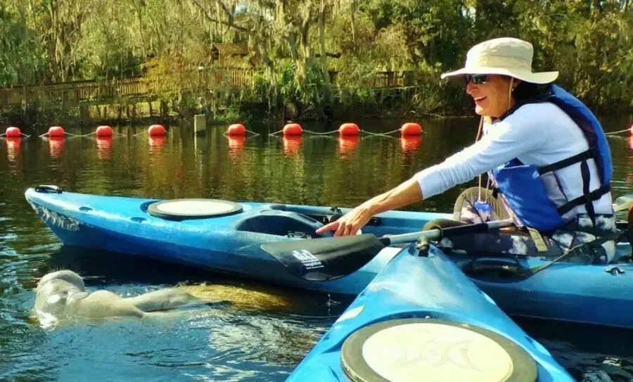 Woman in kayak points toward a manatee in water. Kayak is blue, water is calm, and a sunny day.