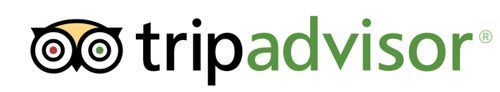 Tripadvisor logo with an owl icon and the word 