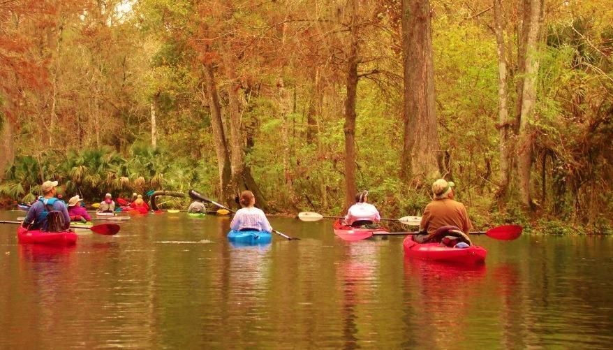 Kayakers paddle along a calm river, surrounded by trees with fall foliage.