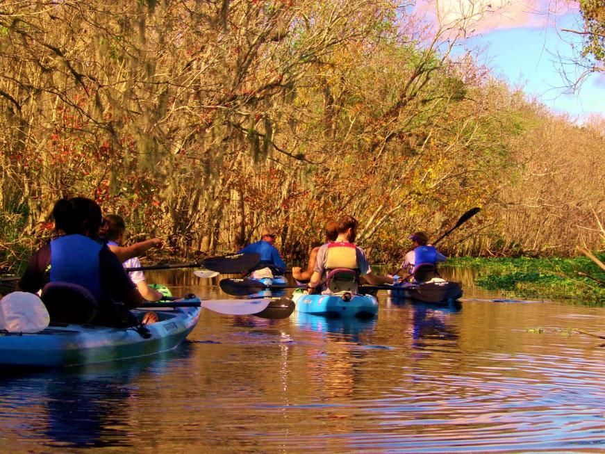 People kayaking on a river surrounded by trees. Sunlight reflects off the water.