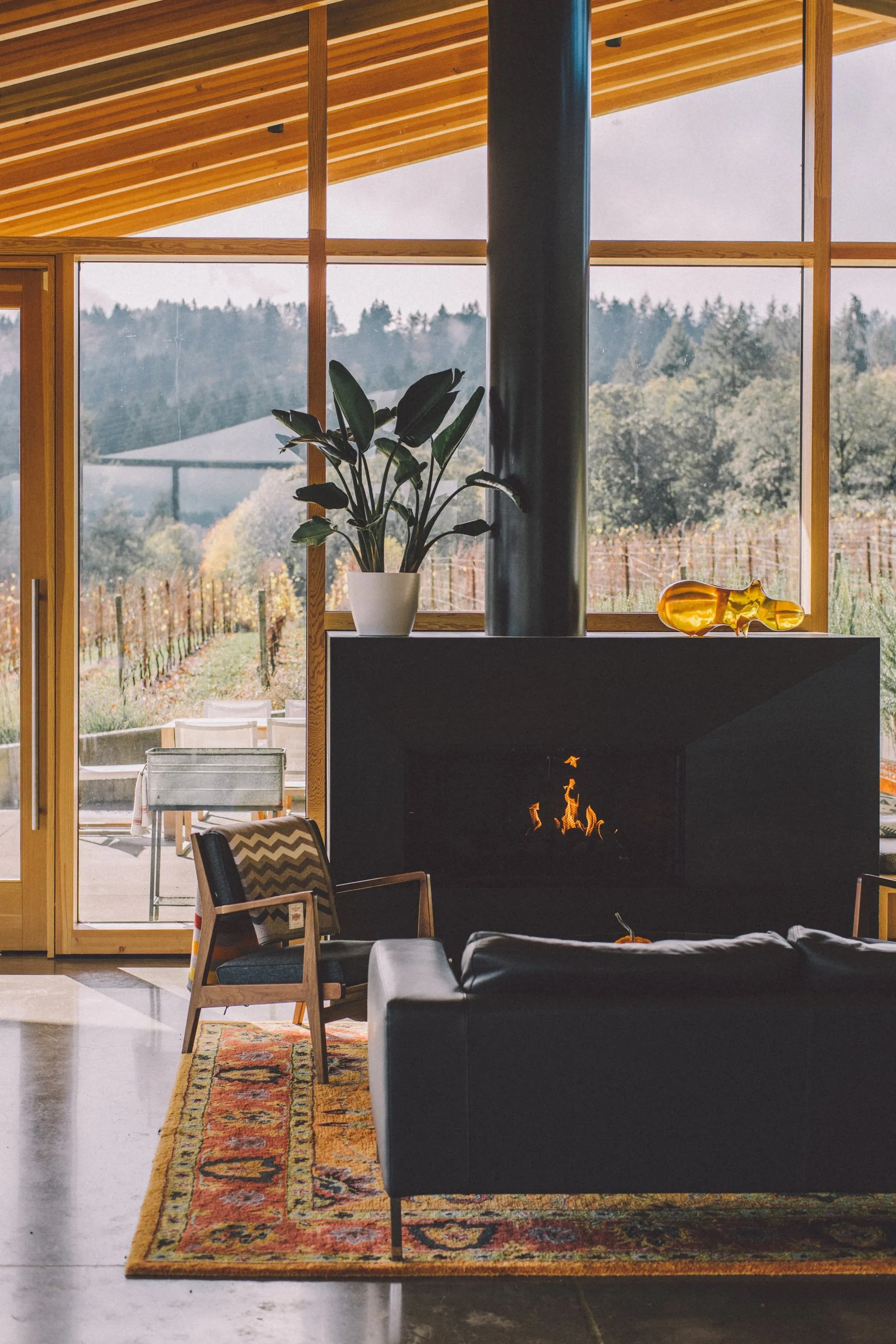 Cozy living room with fireplace, glass windows overlooking a vineyard. Brown, gray, and yellow hues.