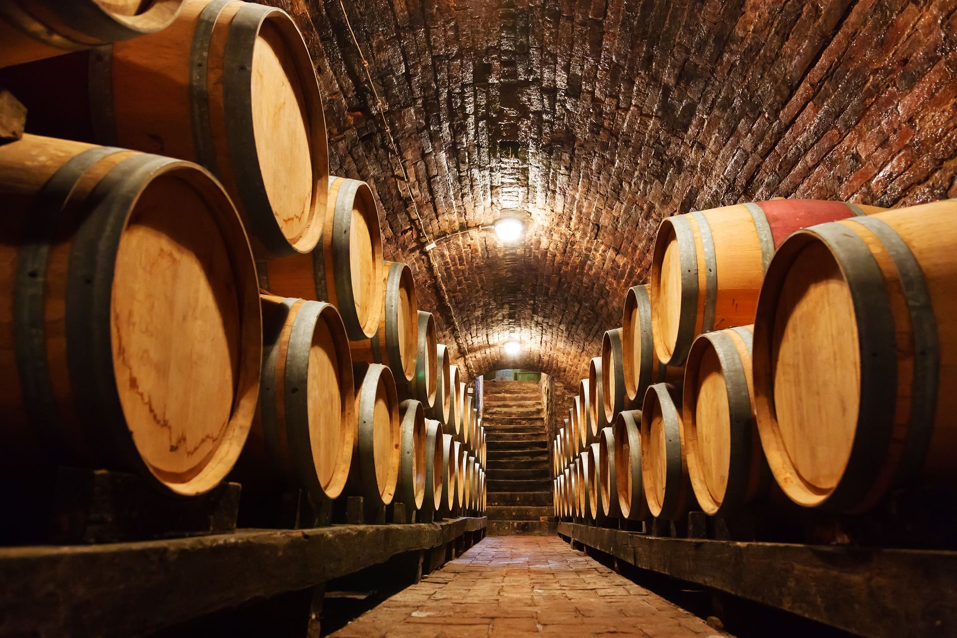 Wine barrels in a dimly lit cellar, arranged in rows. Wooden steps lead to a back area.