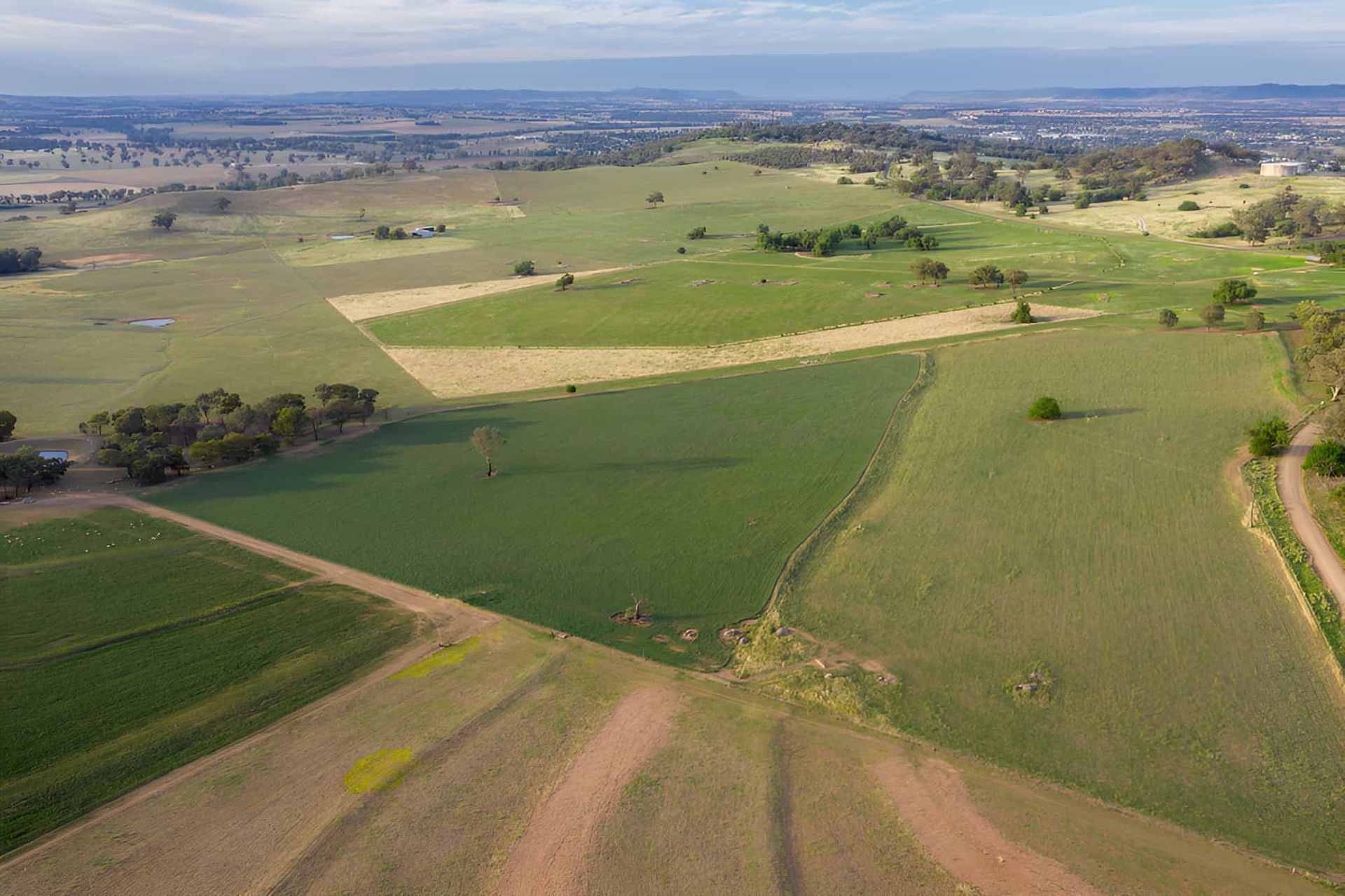 A Wide Field With a Few Trees — CTE Systems In Gloucester, NSW