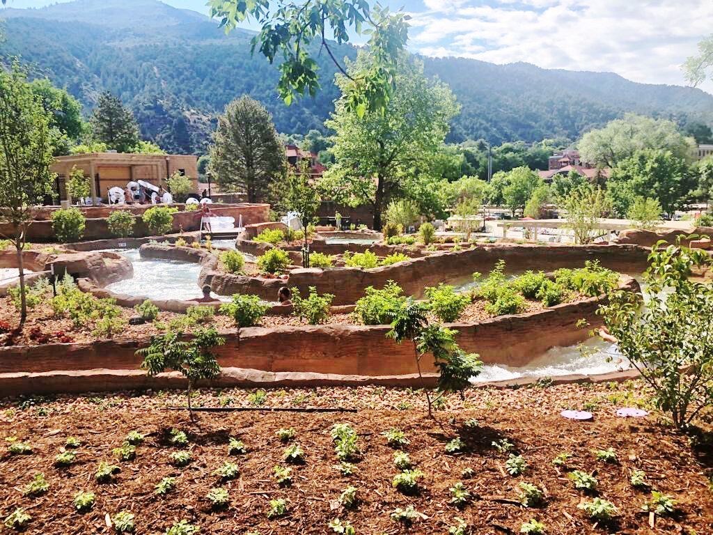 Newly Planted Flowers — Berthoud, CO — Rocky Mountain  Environmental Construction