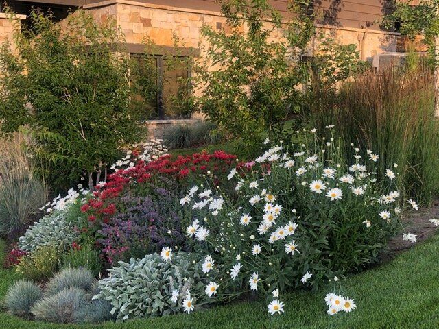 Bushes & Flowers — Berthoud, CO — Rocky Mountain  Environmental Construction