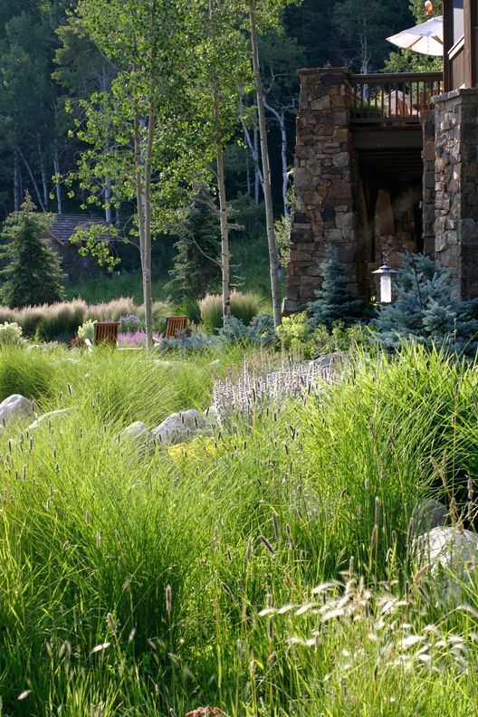 Tall Grass — Berthoud, CO — Rocky Mountain  Environmental Construction