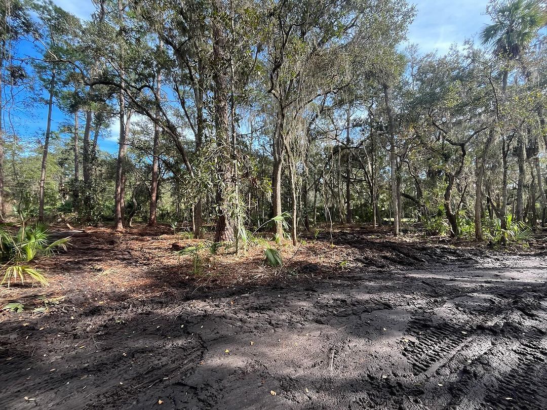5 Land Clearing Techniques Every Property Owner Must Know!