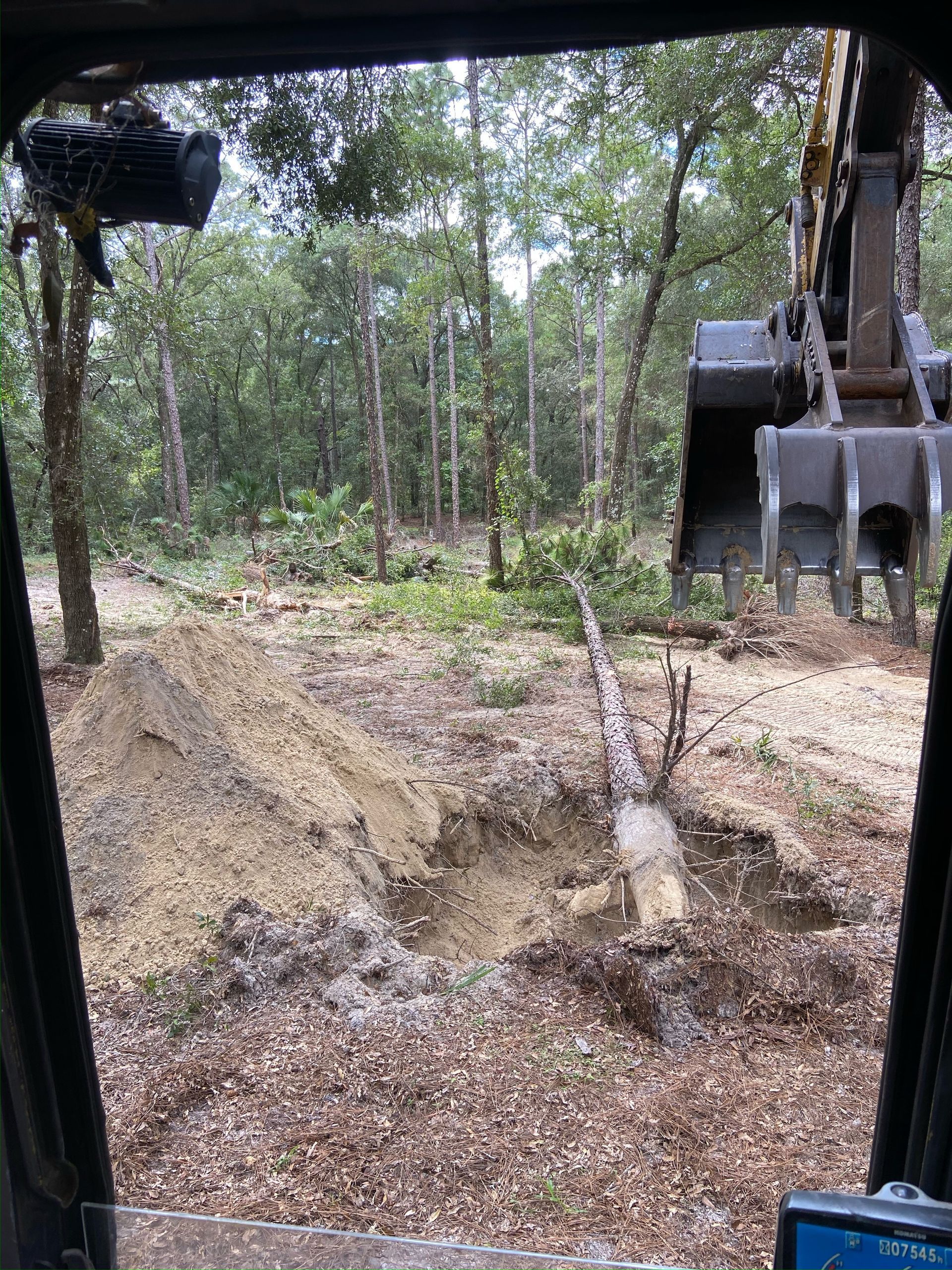 A person is driving a bulldozer through a forest.