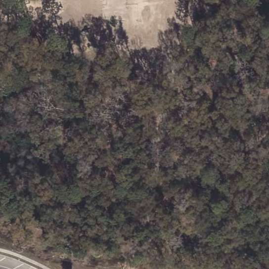 EXCAVATION CONTRACTOR
DEBARY, FL