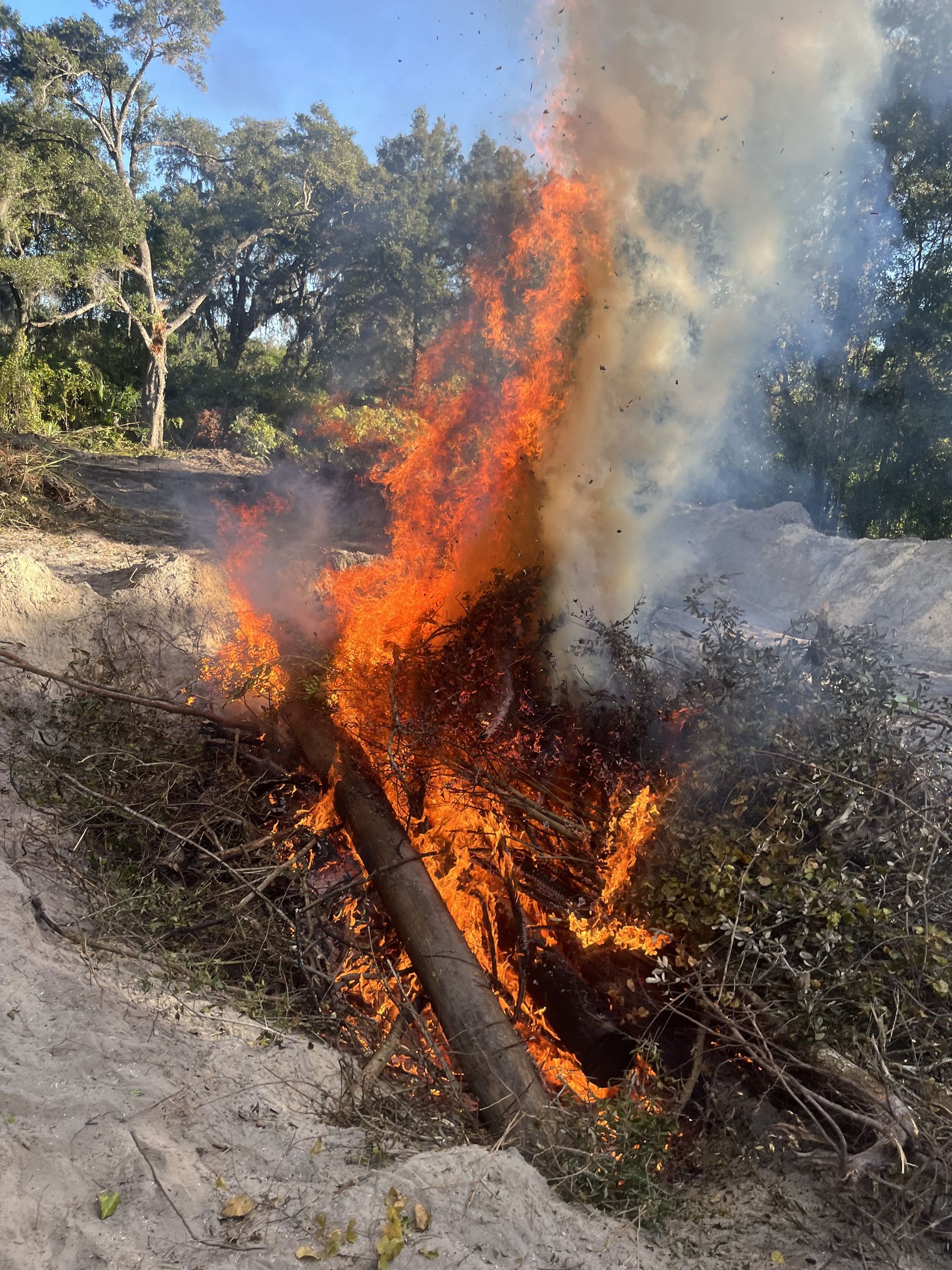 EXCAVATION CONTRACTOR
DEBARY, FL