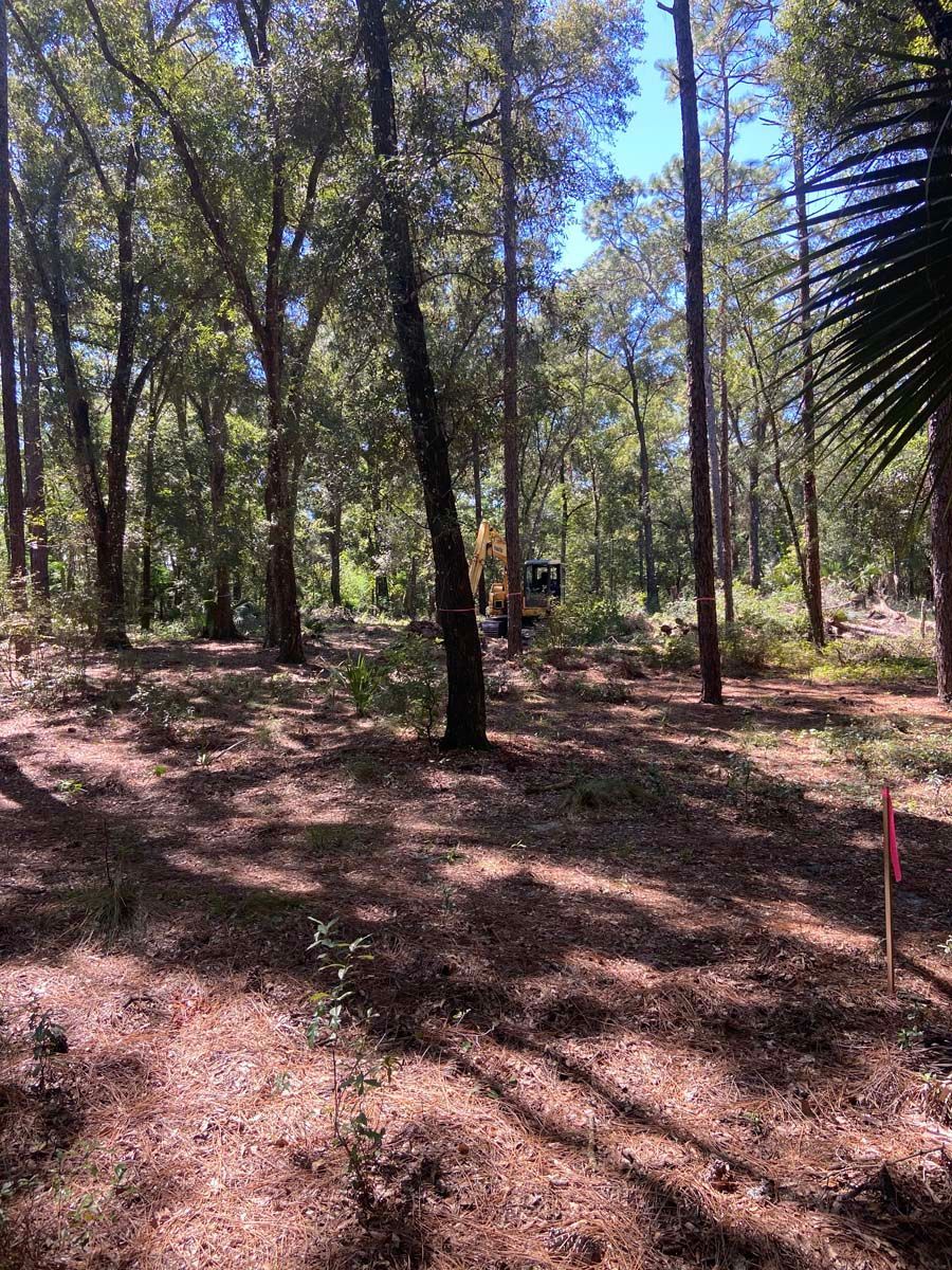 EXCAVATION CONTRACTOR
DEBARY, FL