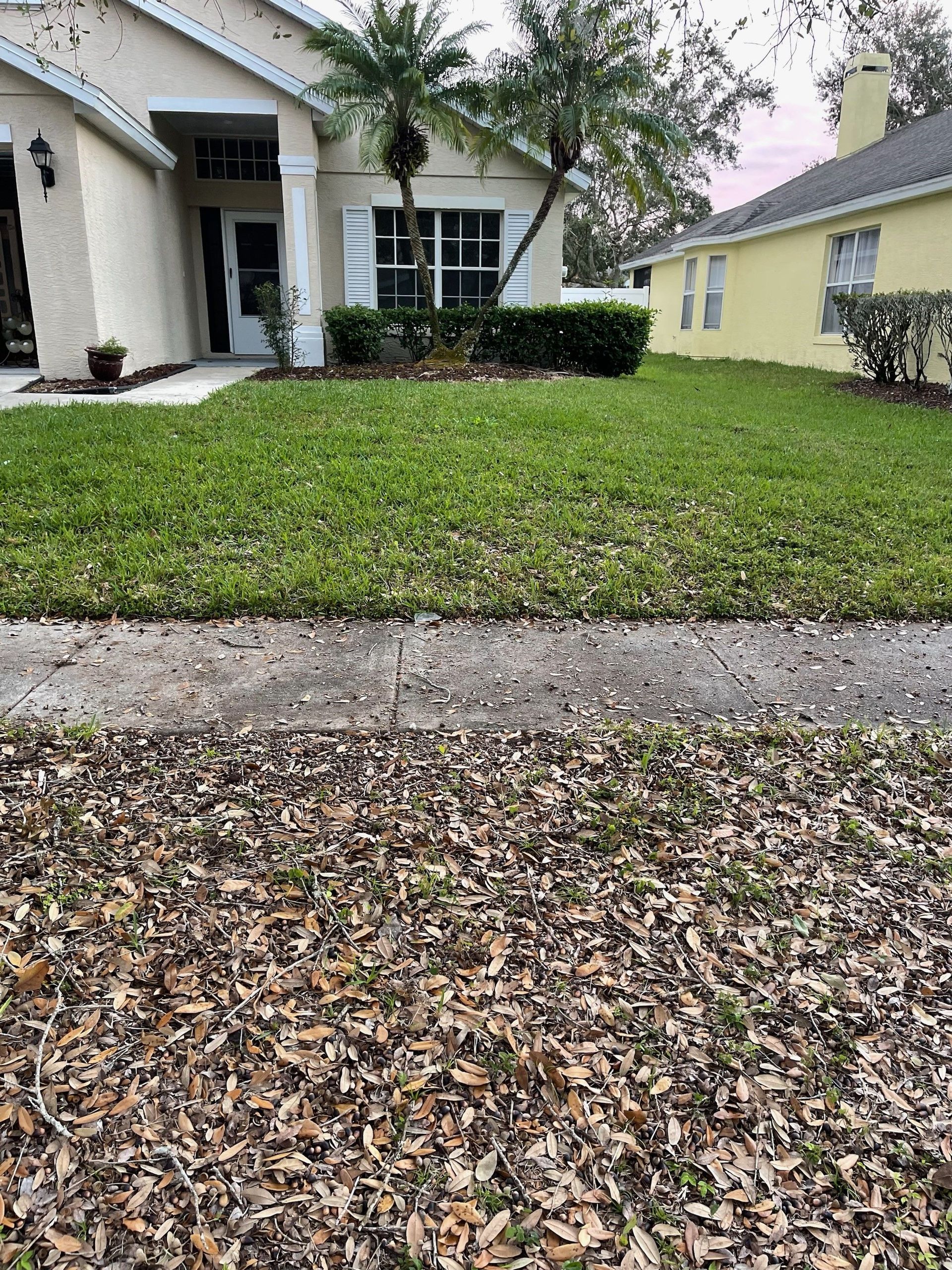 EXCAVATION CONTRACTOR
DEBARY, FL