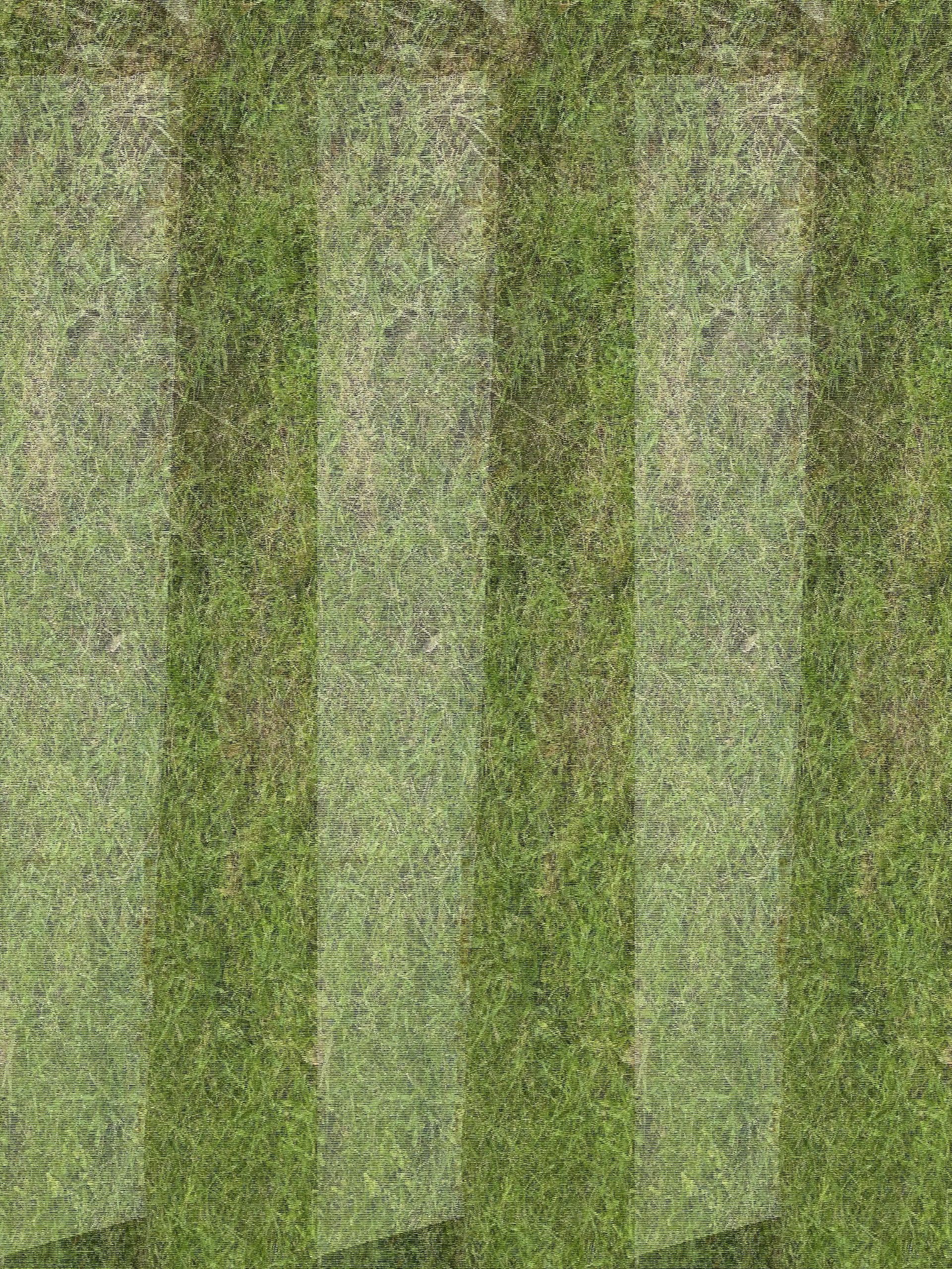 EXCAVATION CONTRACTOR
DEBARY, FL