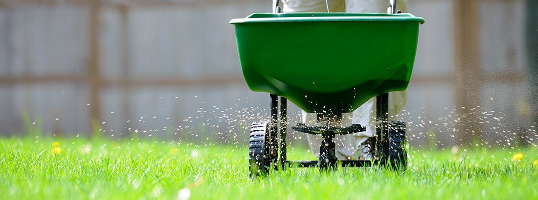 Lawn Fertilization Services
