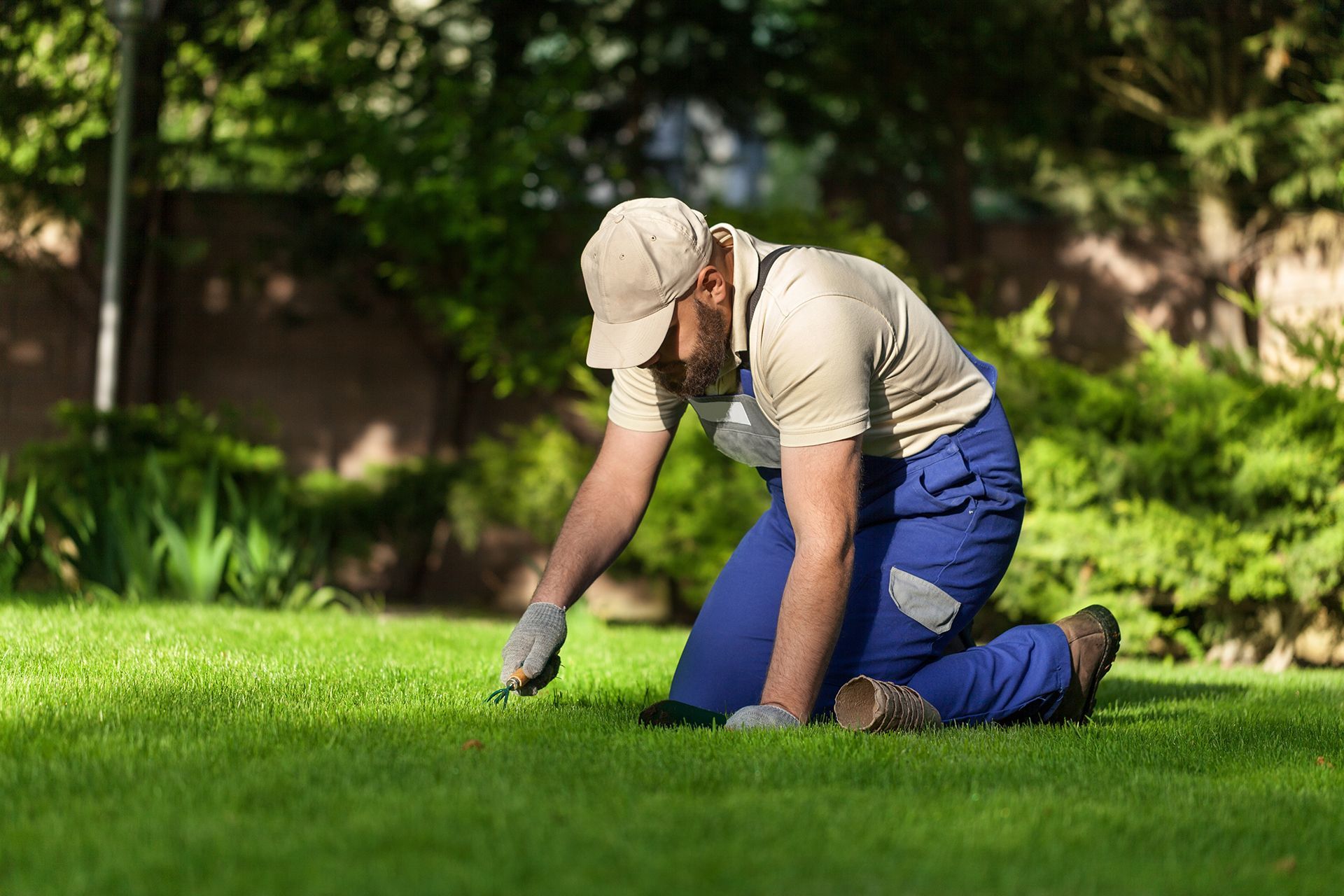 Weed Control for your Michigan Lawns