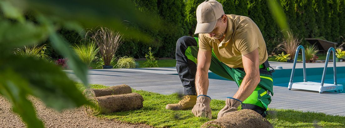 Expert Lawn Care Services