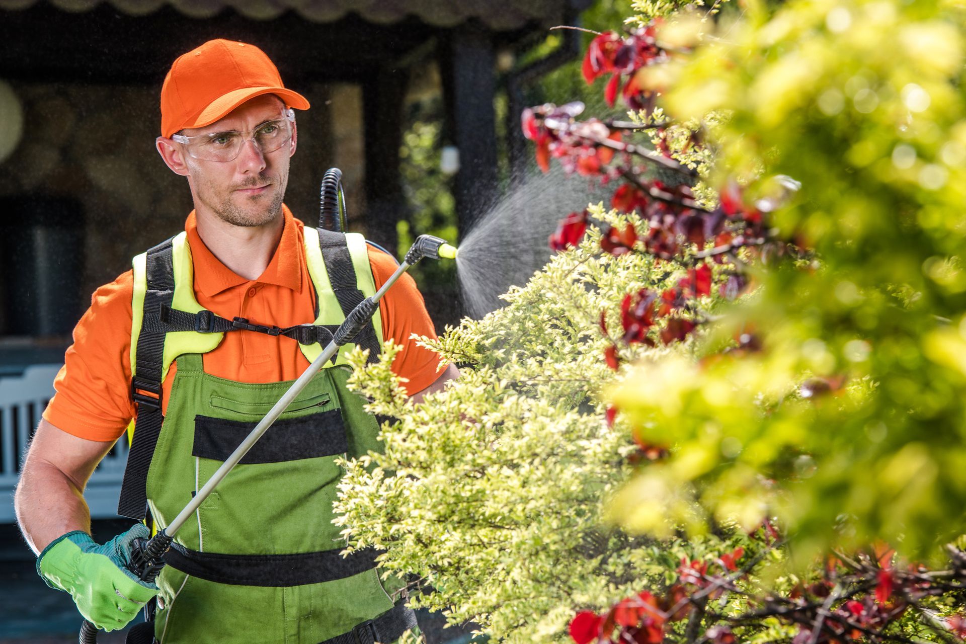 Professional Outdoor Pest Control for your Shelby home