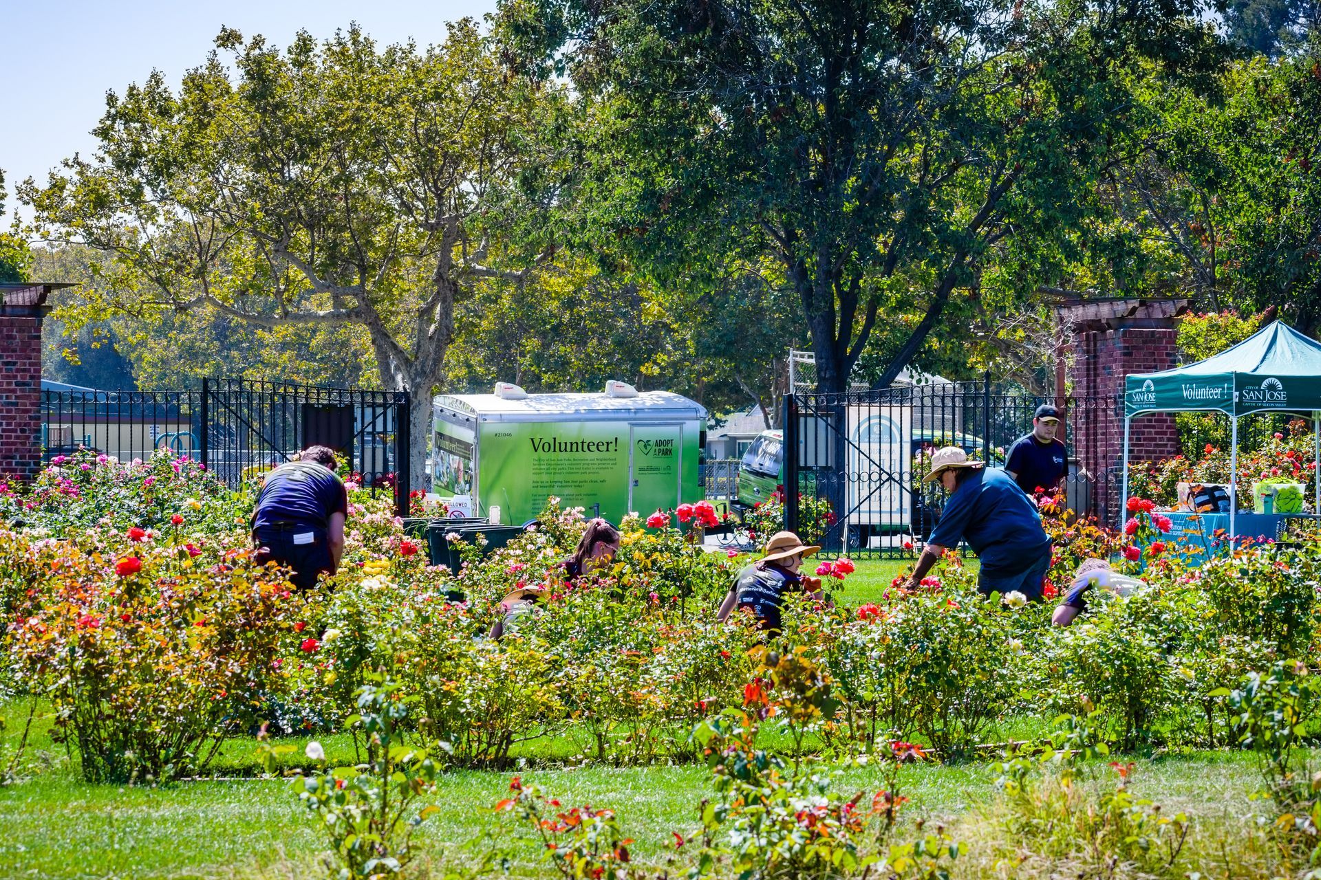 Tree & Shrub Care in Burton, MI