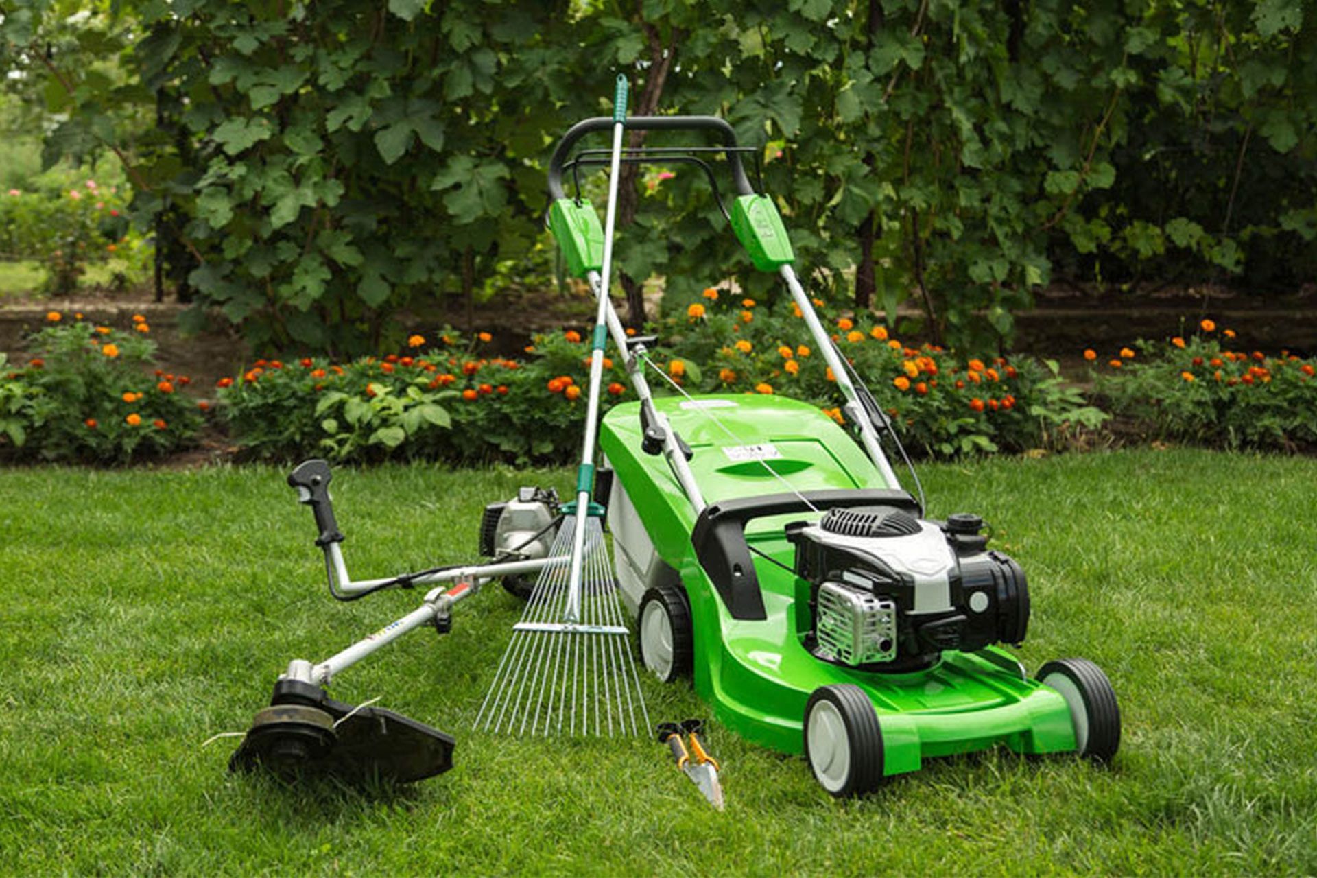 Lawn Aeration Services
