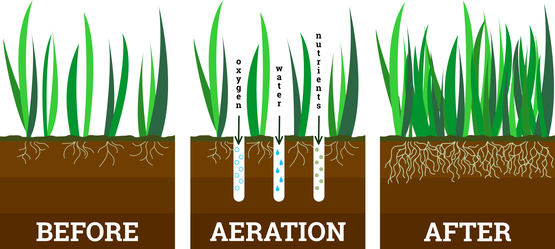 lawn aeration before & after  image