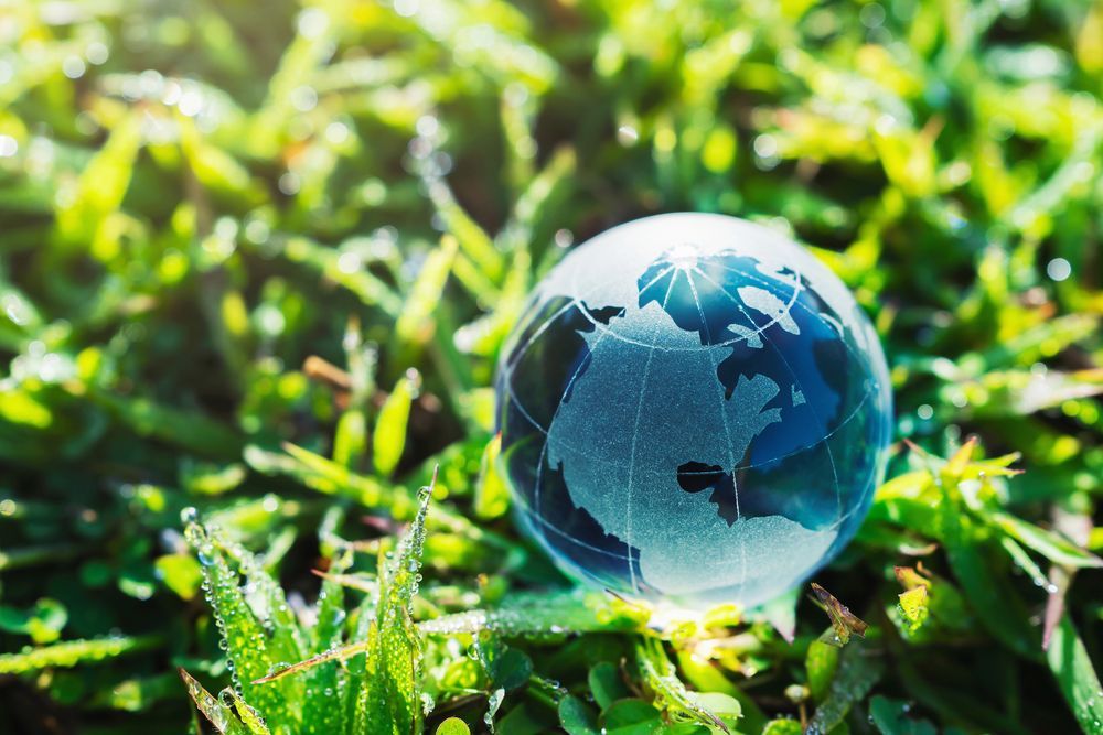 A glass globe is sitting in the grass.