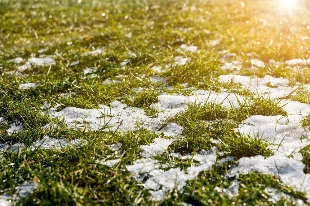 The grass is covered in snow and there is a lot of snow on the ground.