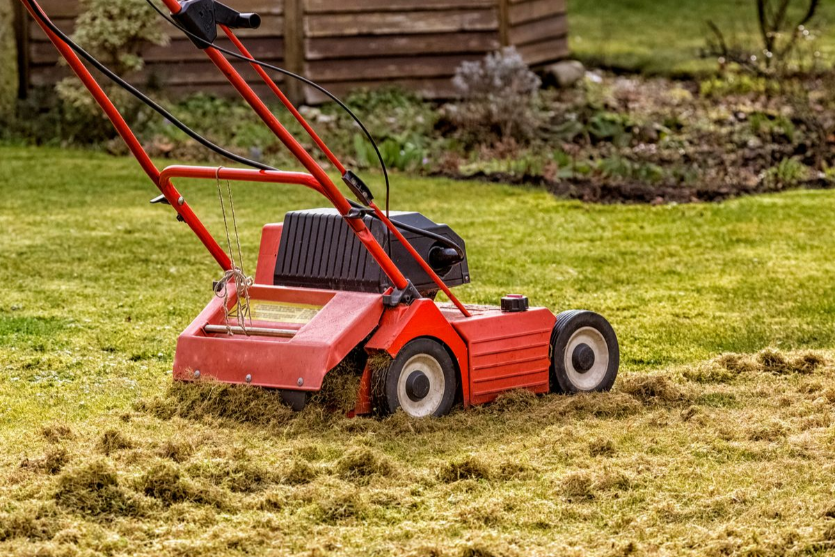 Red lawn dethatcher on grass, removing thatch in a yard.