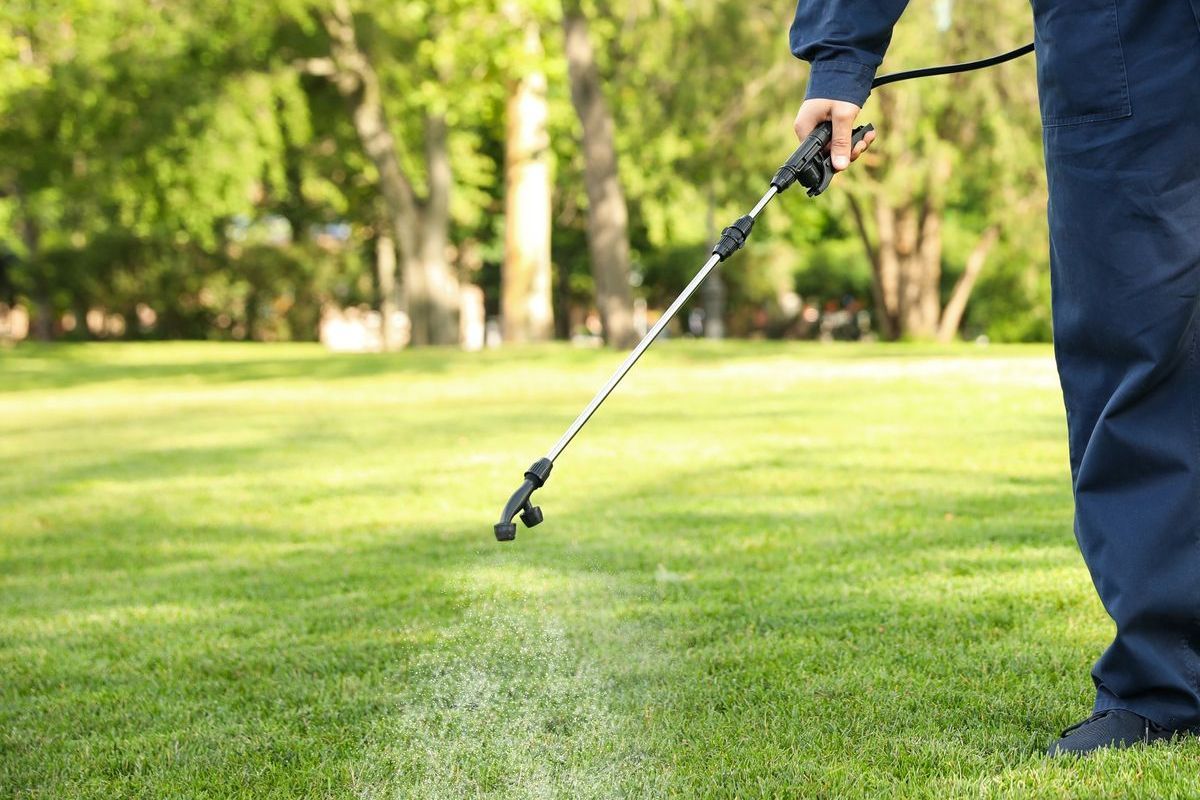 A man is spraying a lawn with a sprayer.