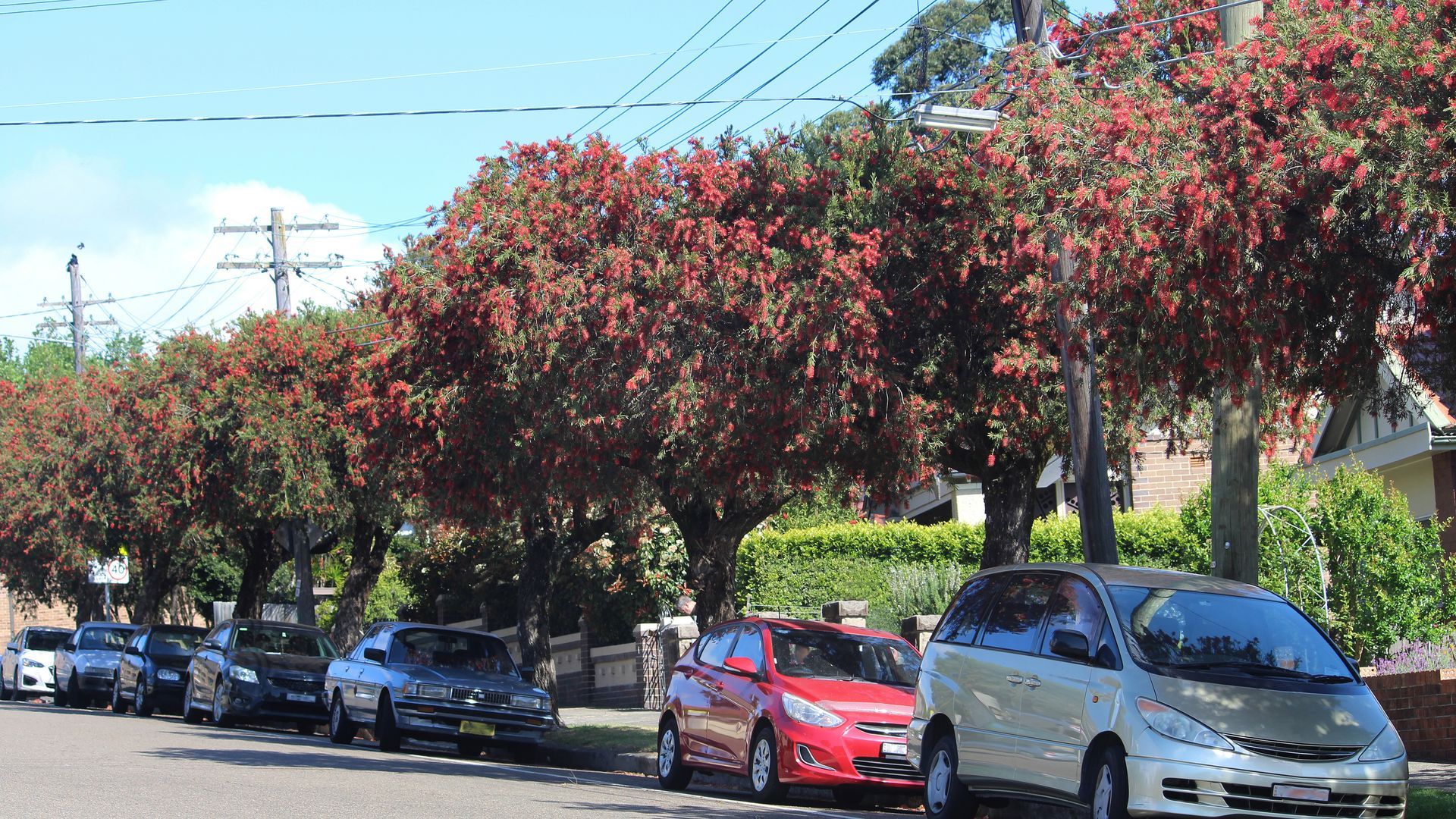 Fertilization service in Auburn Hills, MI 