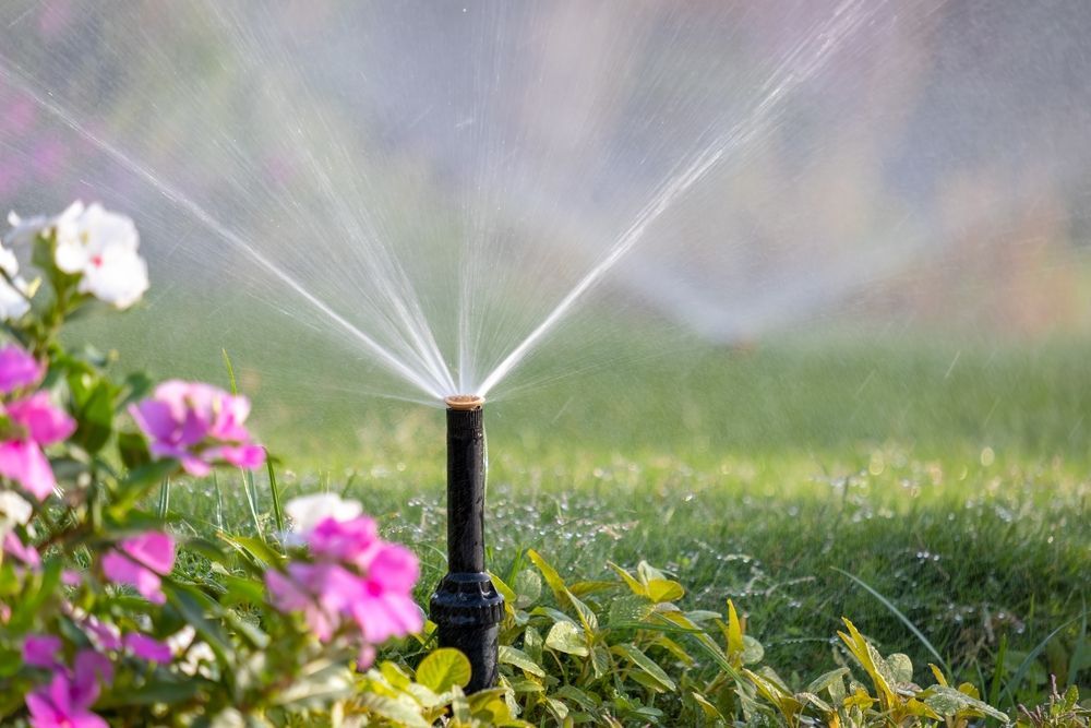 A sprinkler is spraying water in a garden with flowers in the background.