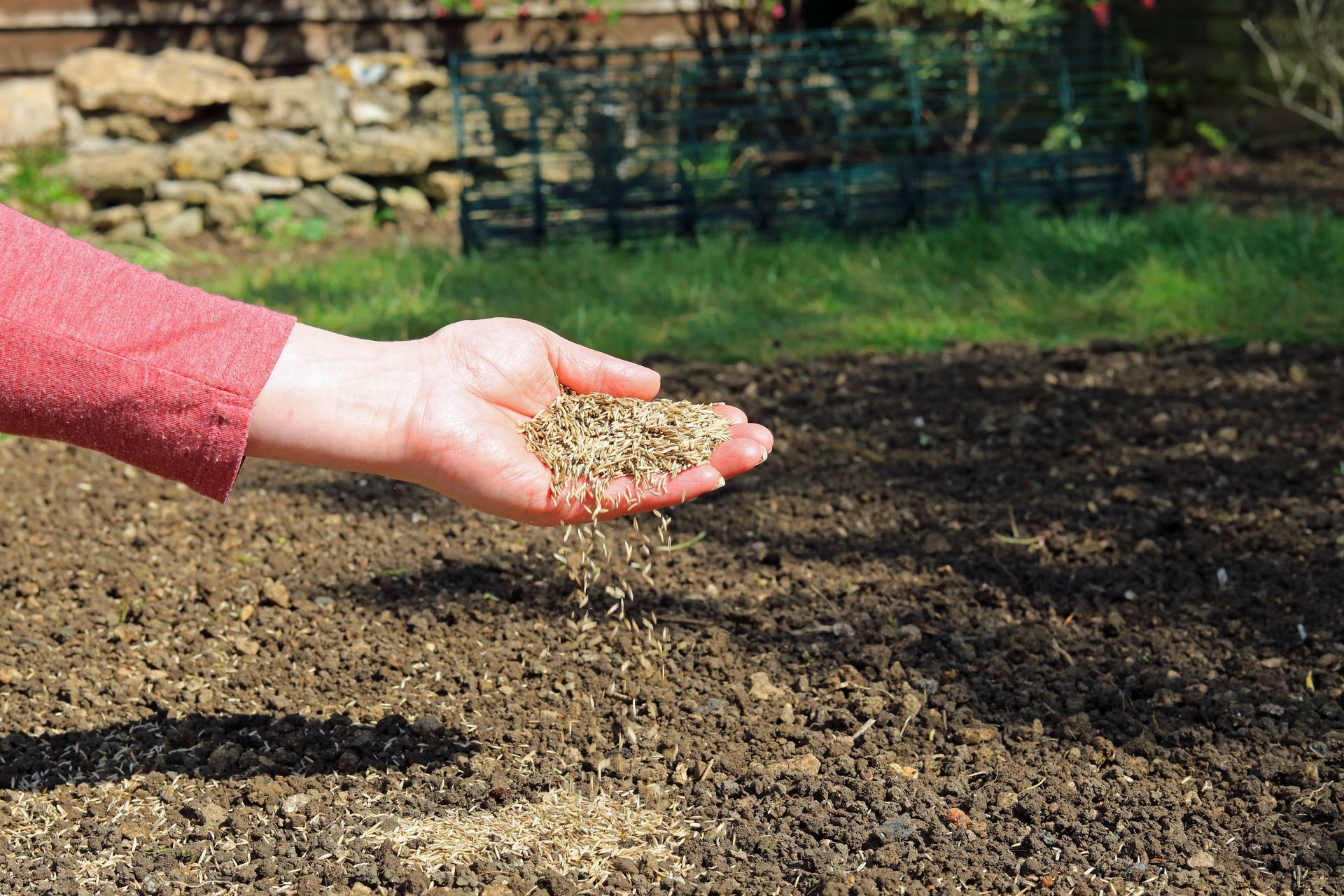 A person is holding a pile of dirt in their hand.
