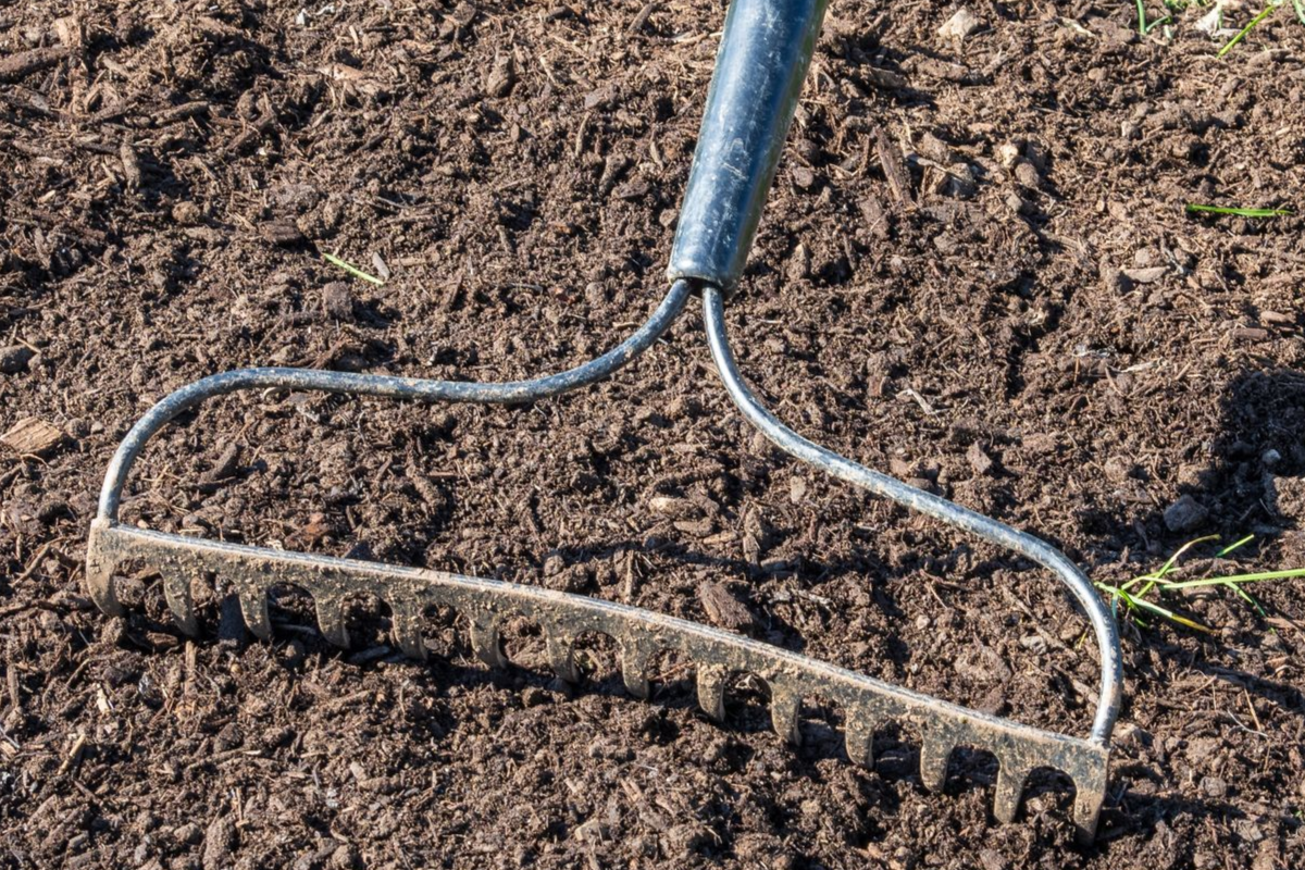 Person raking soil in a garden bed, with green grass and shoe visible.