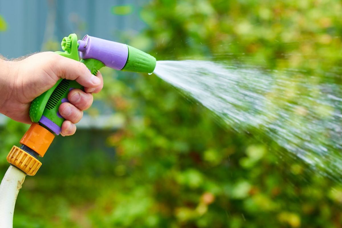 A person is spraying water from a hose in a garden.