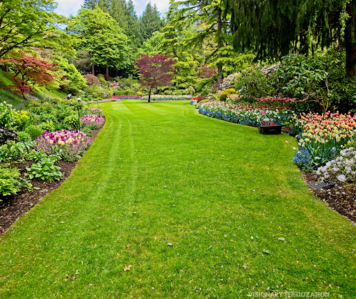 A lush green lawn surrounded by flowers and trees