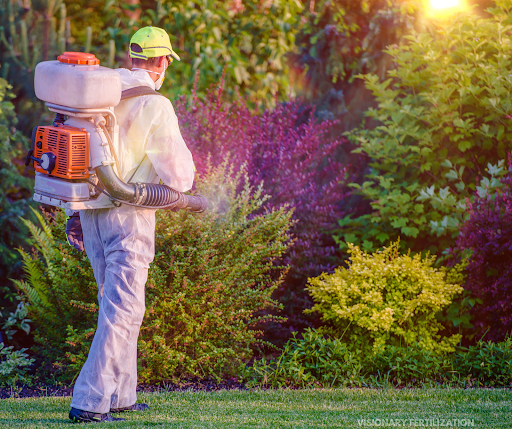 A man is spraying mosquitoes in a garden with a backpack sprayer.