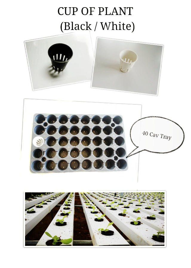 Irrigation & Hydroponic System