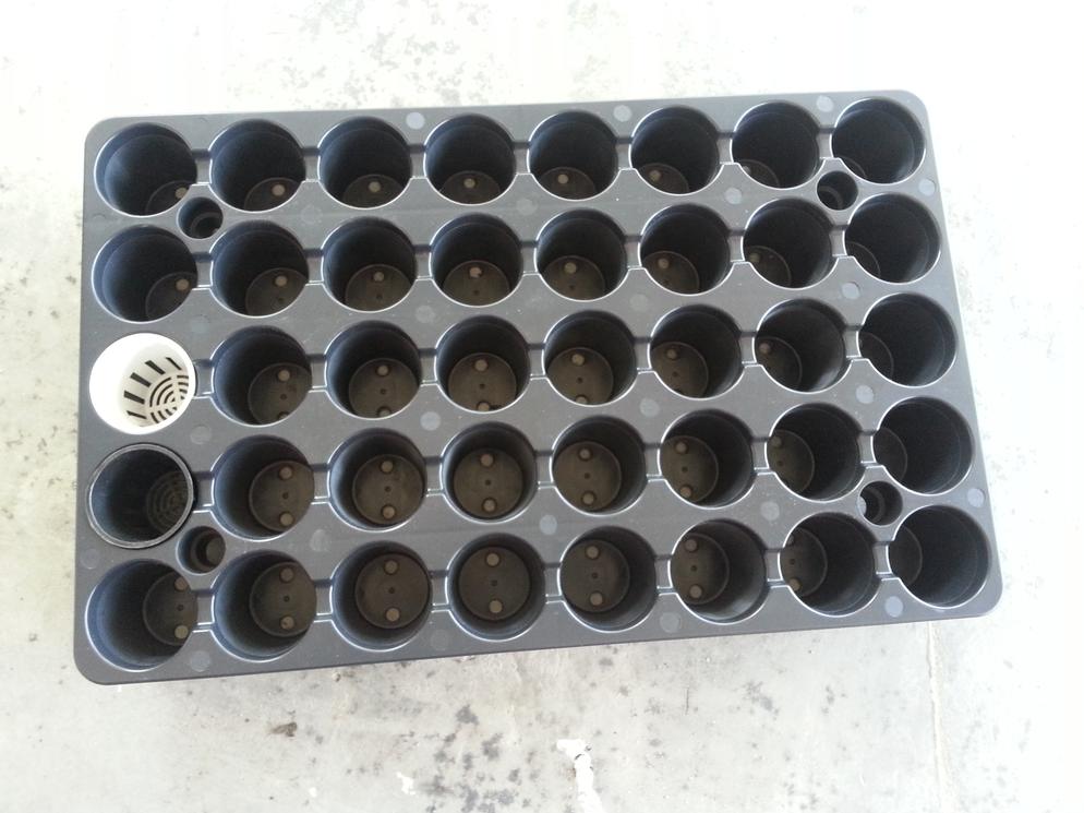 Irrigation & Hydroponic System