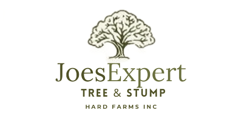 Logo for Joe's Expert Tree & Stump, featuring a tree graphic and company information.