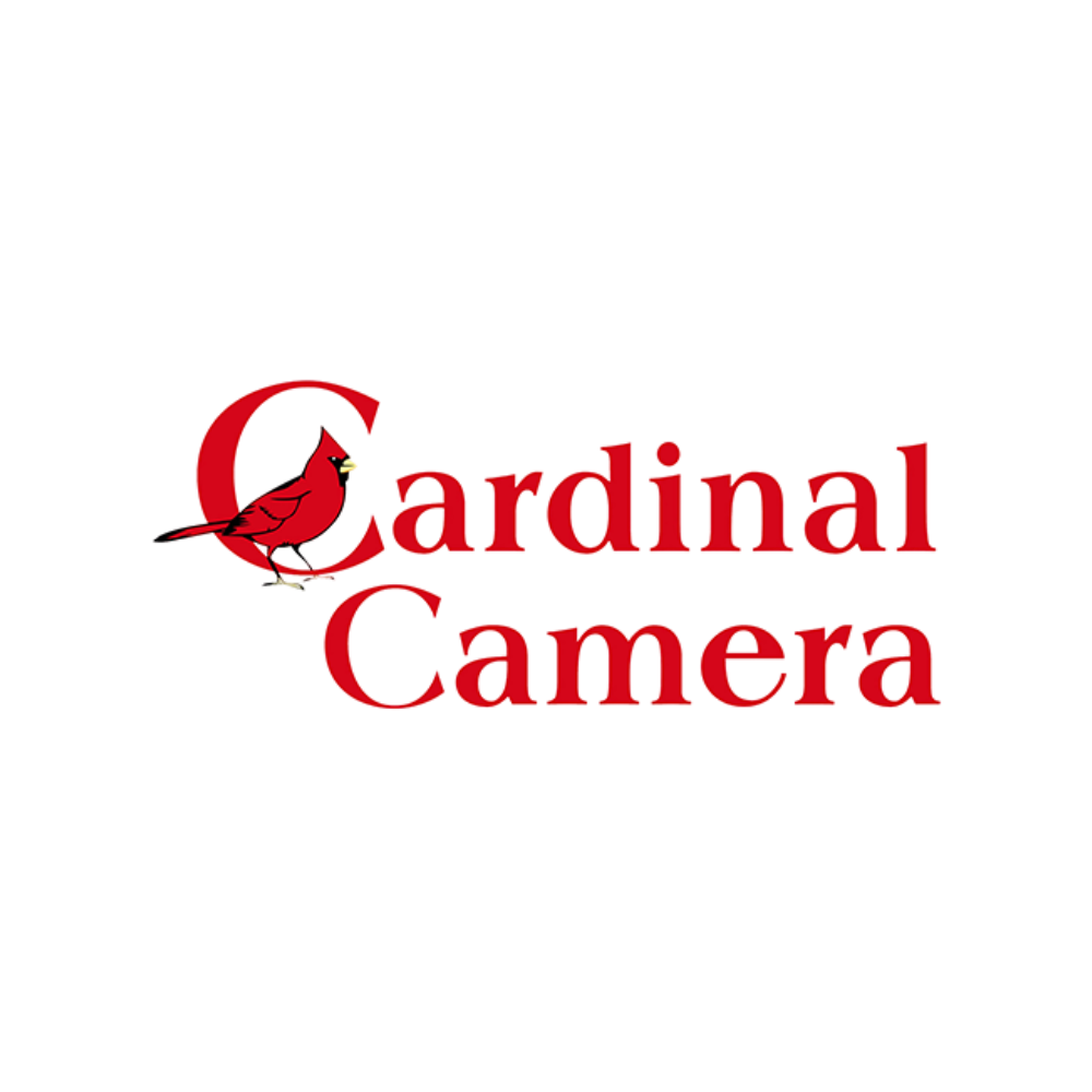Cardinal Camera logo: Red cardinal bird inside the letter