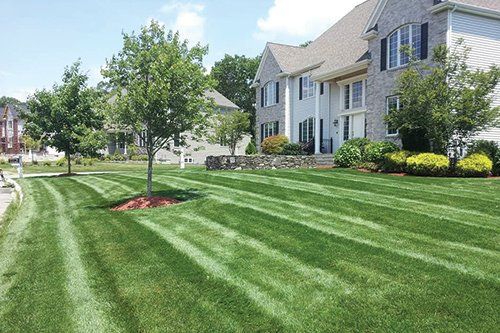 Landscape Services Promo — Lawn Mower in Brockton, MA
