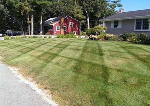 Front Lawn of a Home - Lawn Care Services - Brockton, MA