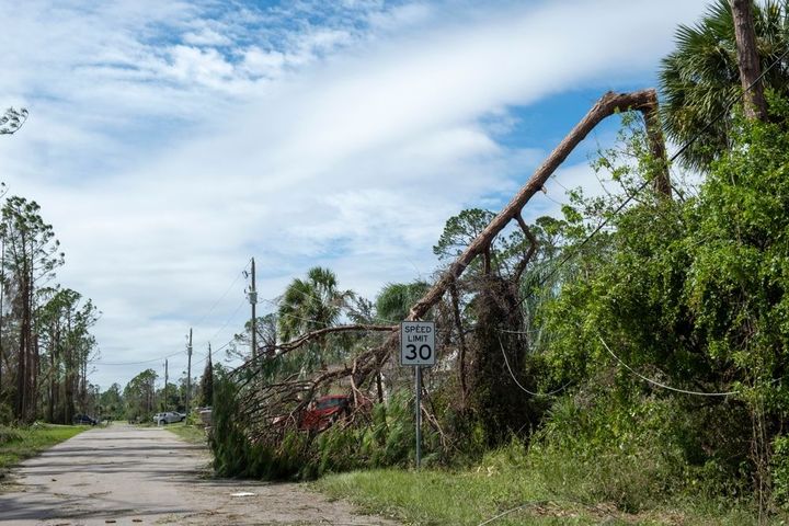Rural road with fallen utility poles, overgrown vegetation, and a 30 mph speed limit sign under a cloudy sky