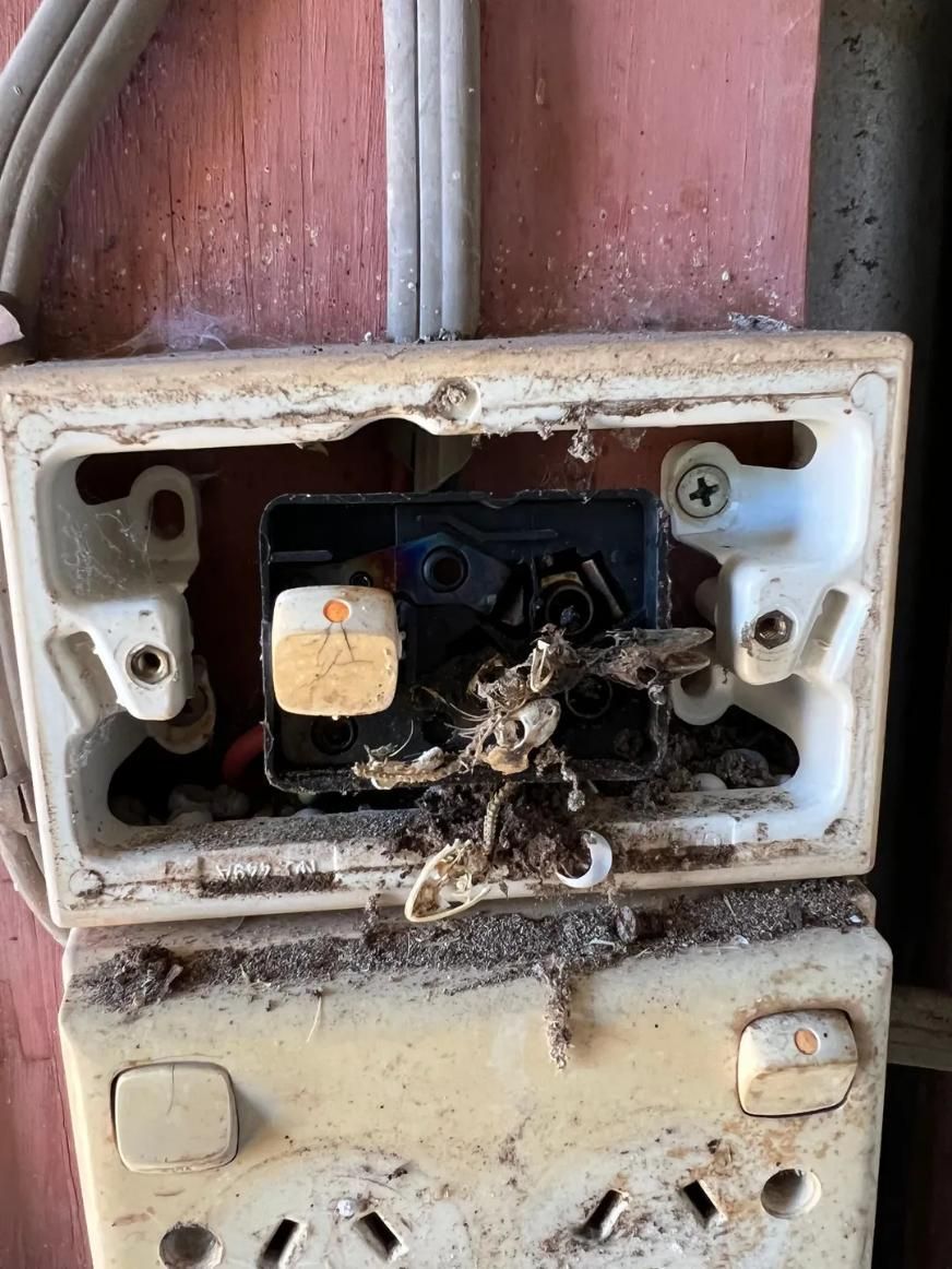 A Close up Of a Dirty Electrical Outlet on A Wall — Next Level Resources In Rockhampton, QLD