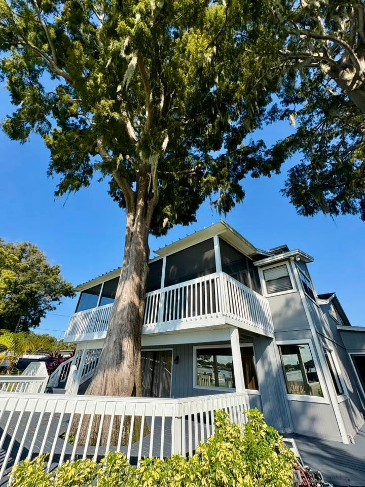 Cardboard boxes stacked inside, ready for a move, with a potted plant and rolled rug.
